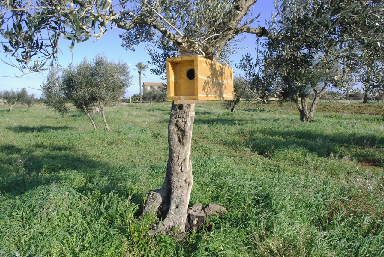 Masseria Galatea Farm stay *